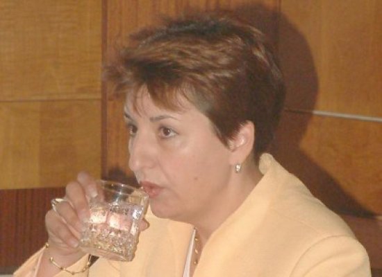 Sulfina Barbu: Stabilitatea macroeconomică - meritul guvernelor Boc, Ungureanu. Guvernul Ponta a stricat